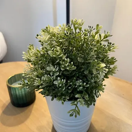 - Coeur De * 拉莫维勒·圣阿日