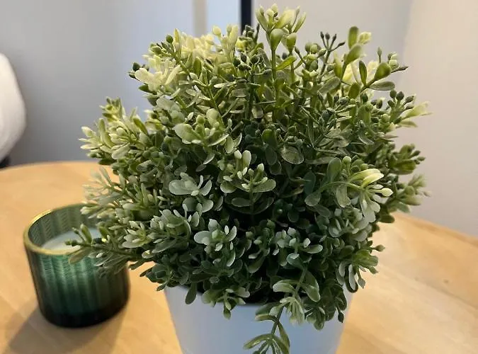 - Coeur De * Ramonville-Saint-Agne